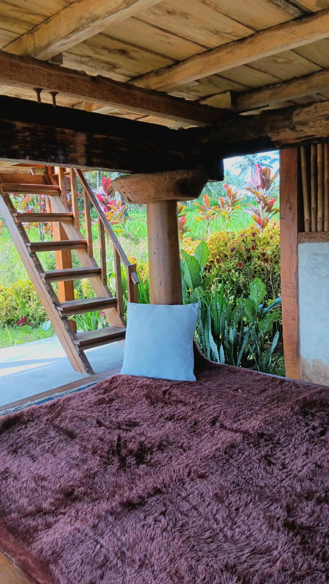 Dewi Rinjani Homestay Tetebatu Exterior foto