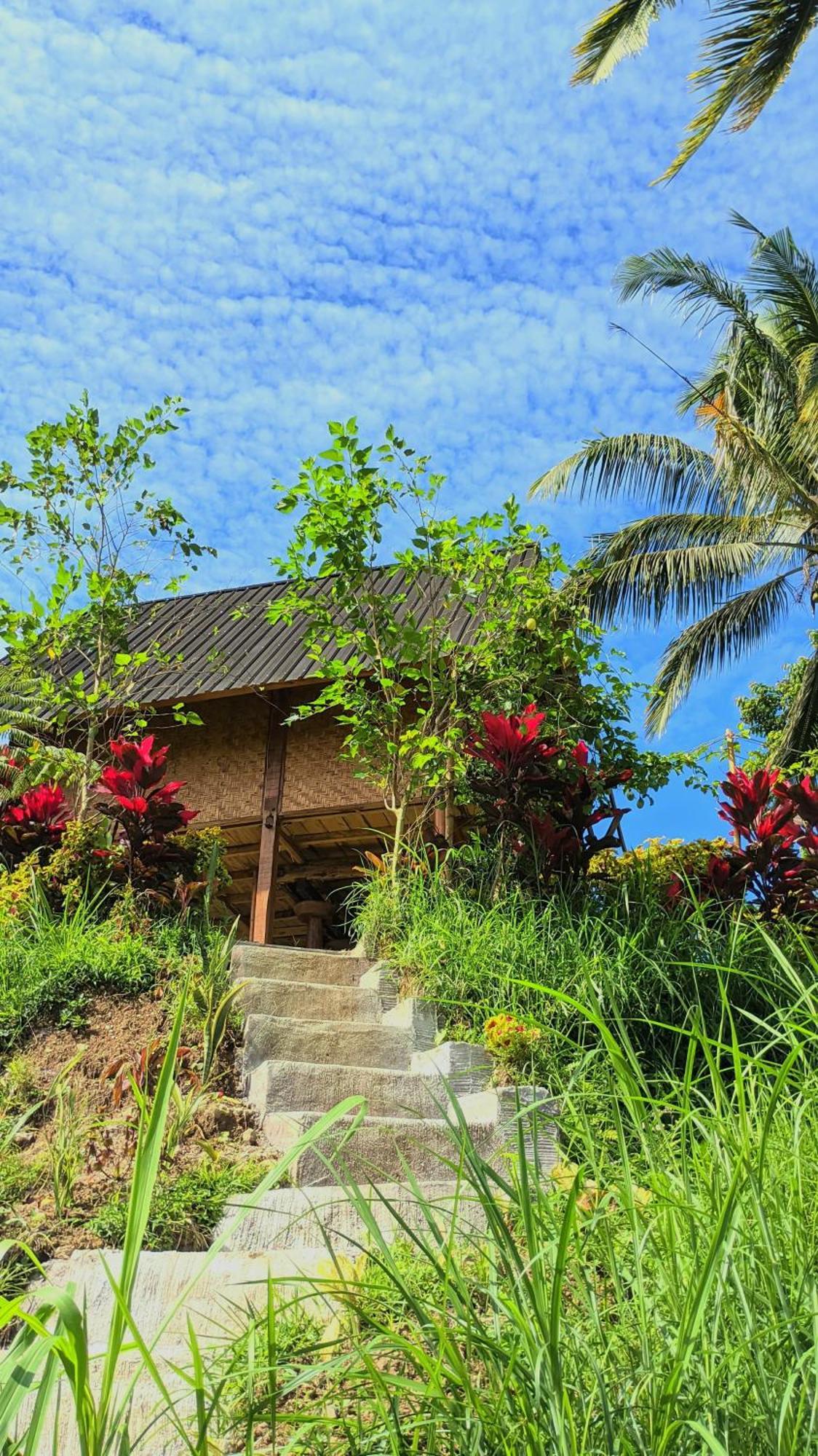 Dewi Rinjani Homestay Tetebatu Exterior foto
