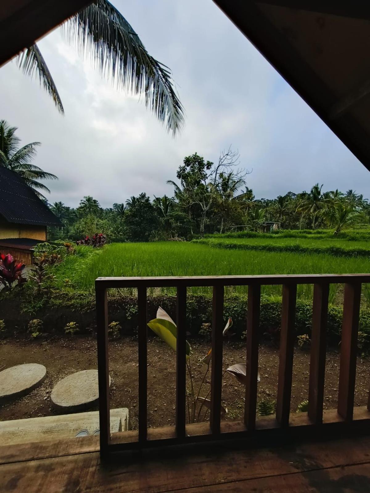 Dewi Rinjani Homestay Tetebatu Exterior foto