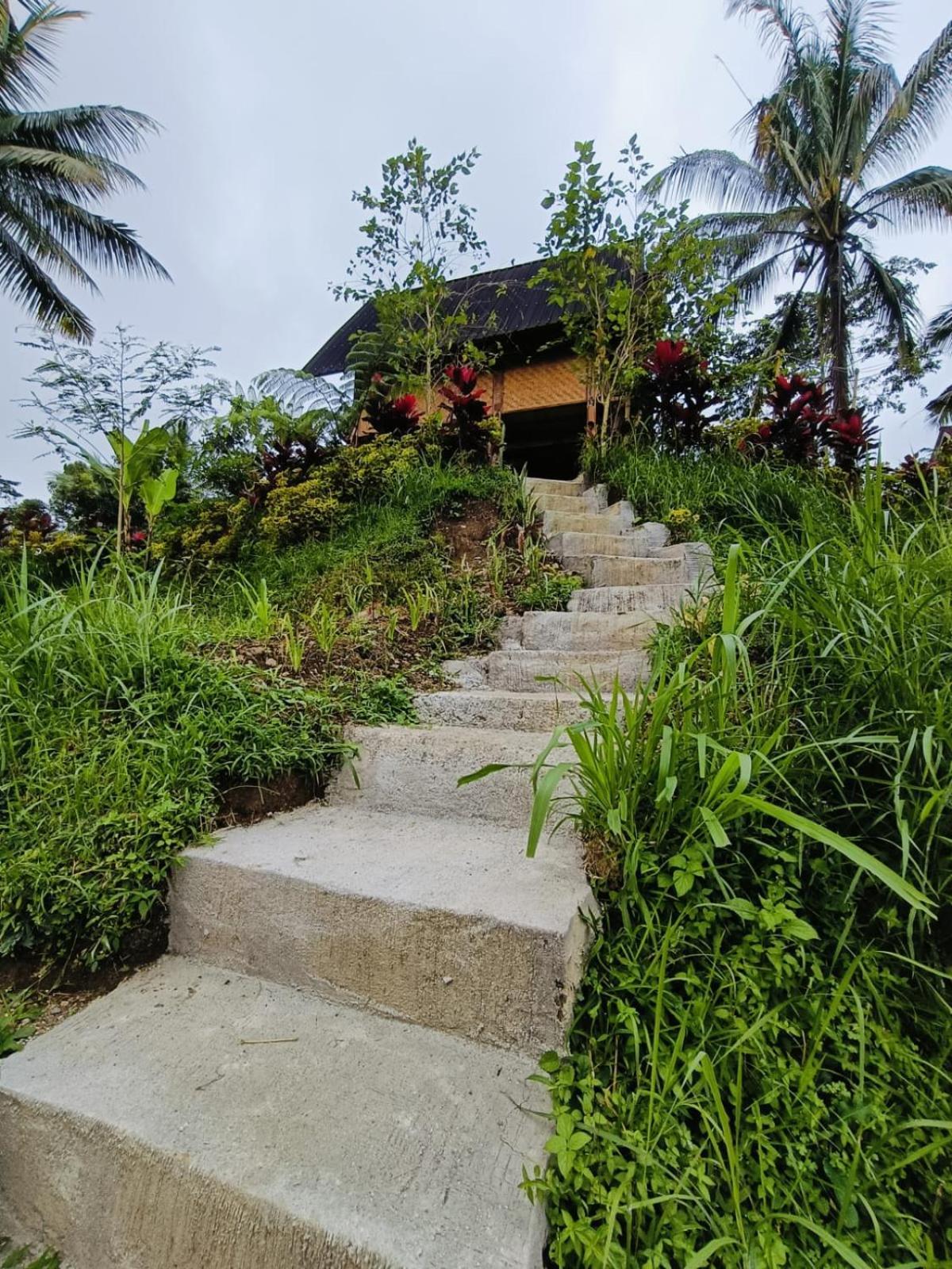 Dewi Rinjani Homestay Tetebatu Exterior foto