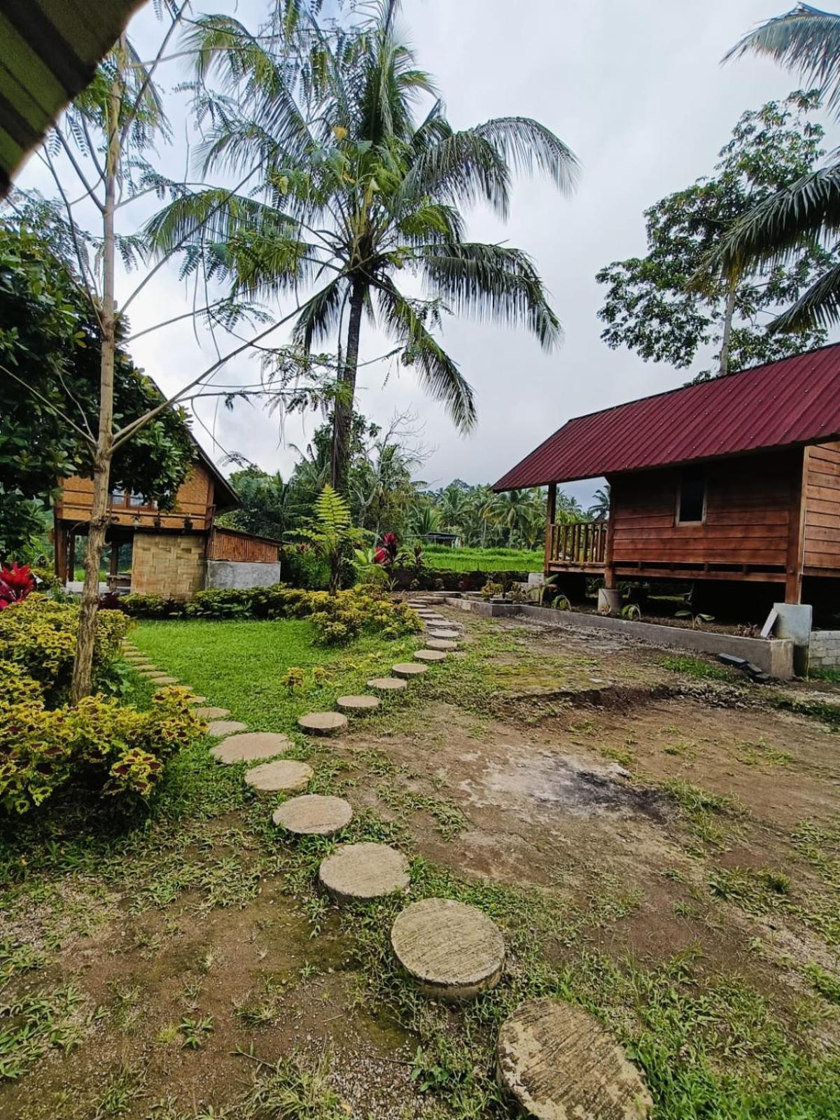 Dewi Rinjani Homestay Tetebatu Exterior foto